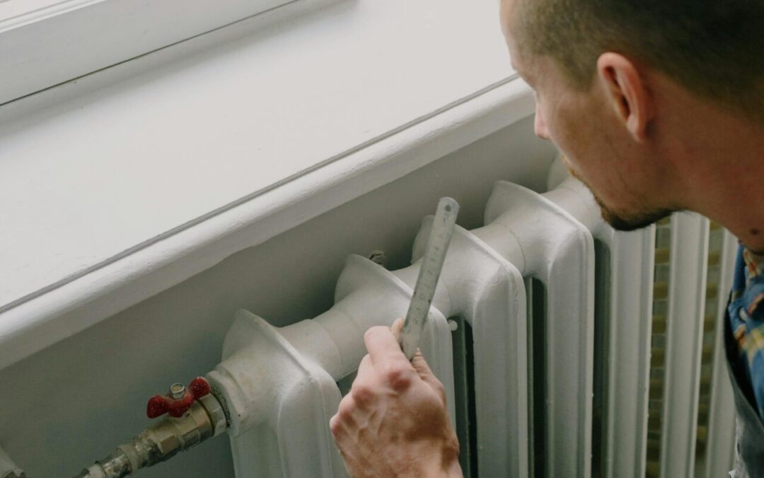 owner checking standards for renting