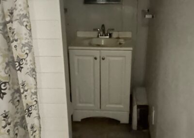 mold monster project bathroom before 1