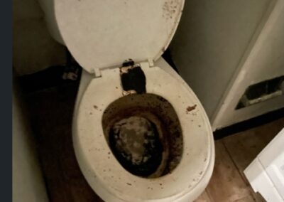 mold monster project bathroom before 2