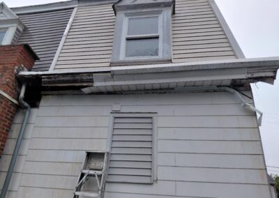 mold monster project exterior before 1