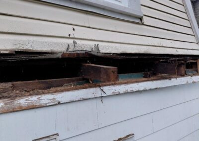 mold monster project exterior before 2