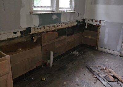 mold monster project kitchen before