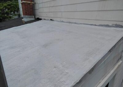 mold monster project roof after 2
