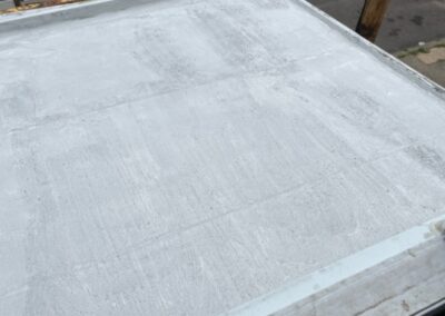 mold monster project roof after