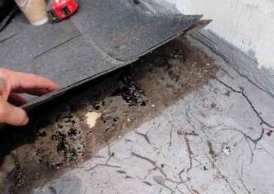 mold monster project roof before