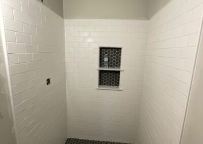 mold monster project shower after 2