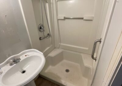 mold monster project shower before