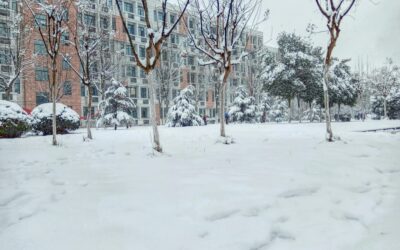 Best Practices for Winterizing Your Rental Property